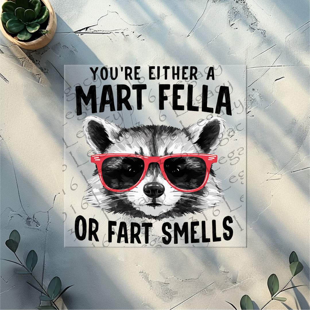 You're Either a Mart Fella or Fart Smells Raccoon- DTF Ready to Press