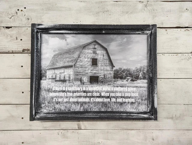 Barn Sanctuary Canvas Print