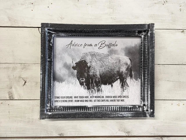 Advice from a Buffalo Canvas Print