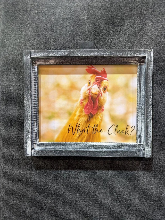 Chicken What the Cluck Canvas Print