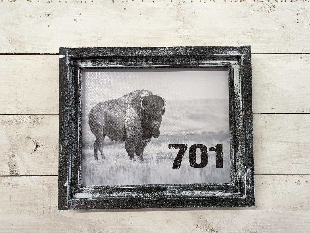 North Dakota Buffalo 701 Canvas Print