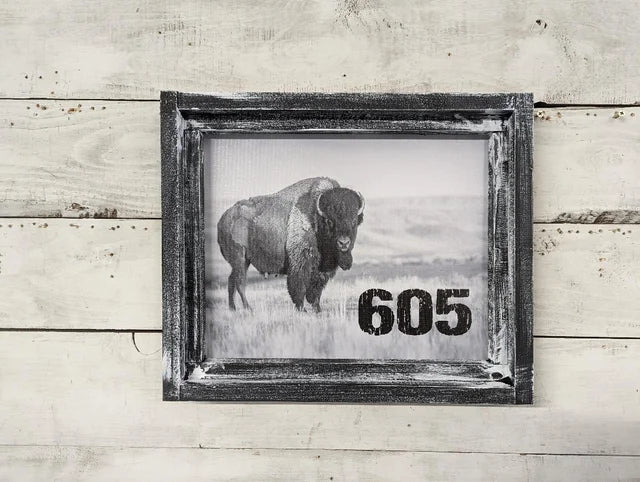 South Dakota Buffalo 605 Canvas Print