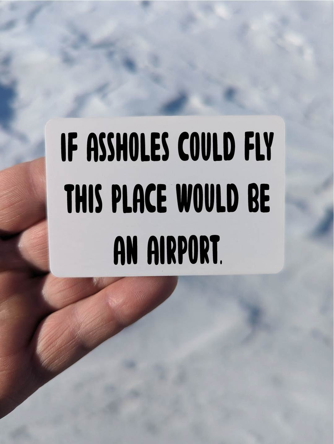 Assholes Could Fly Magnet