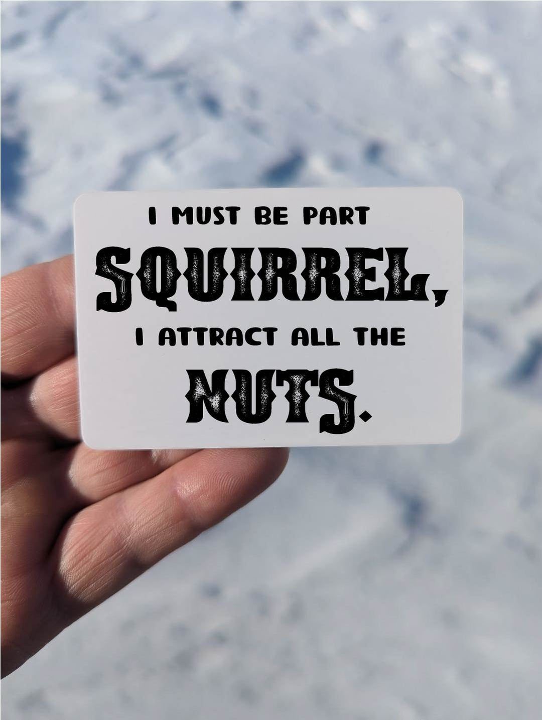Part Squirrel Magnet