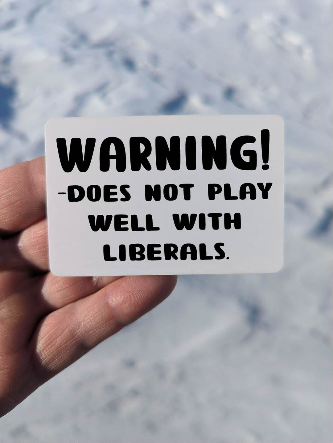 Play with Liberals Magnet