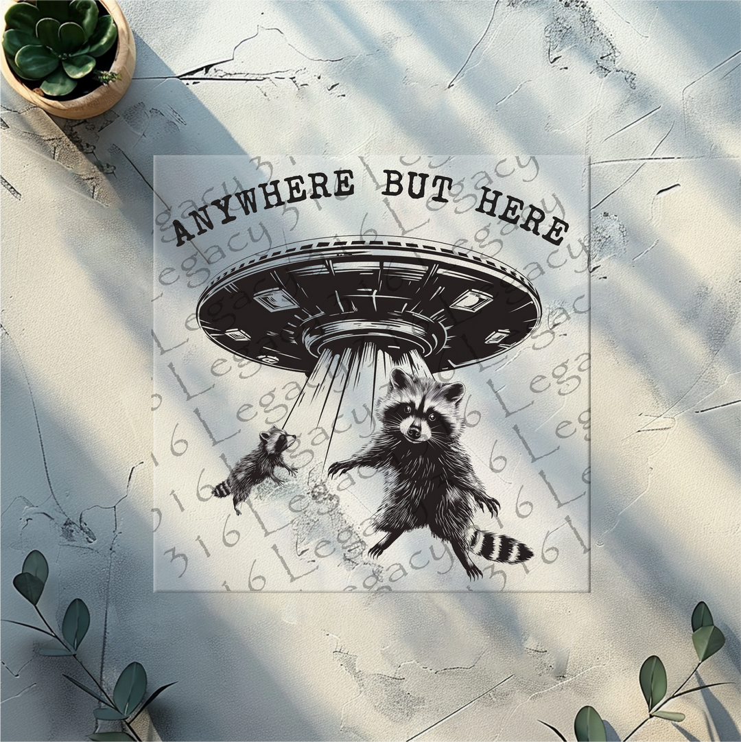 Anywhere but Here UFO Raccoon- DTF Ready to Press