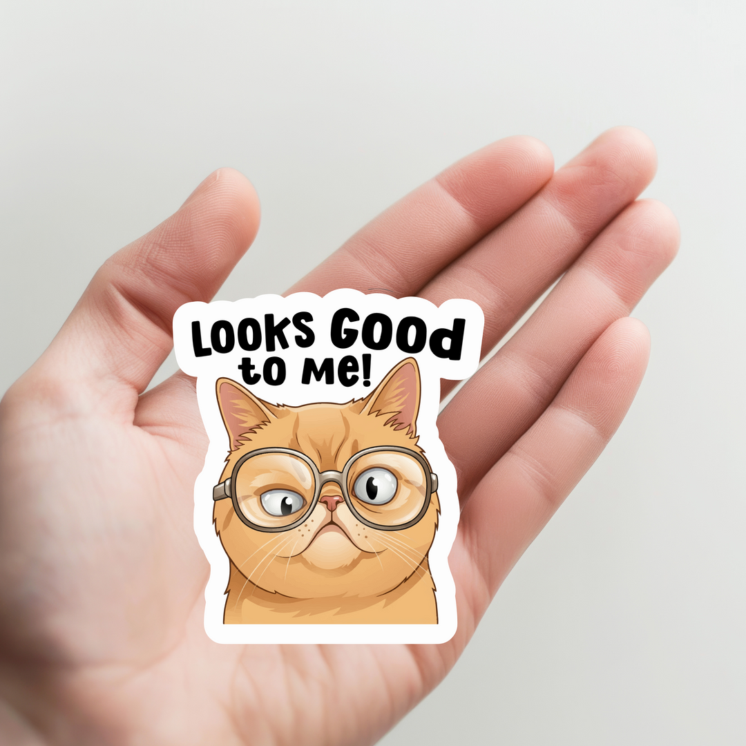 Cat Looks Good to Me Sticker