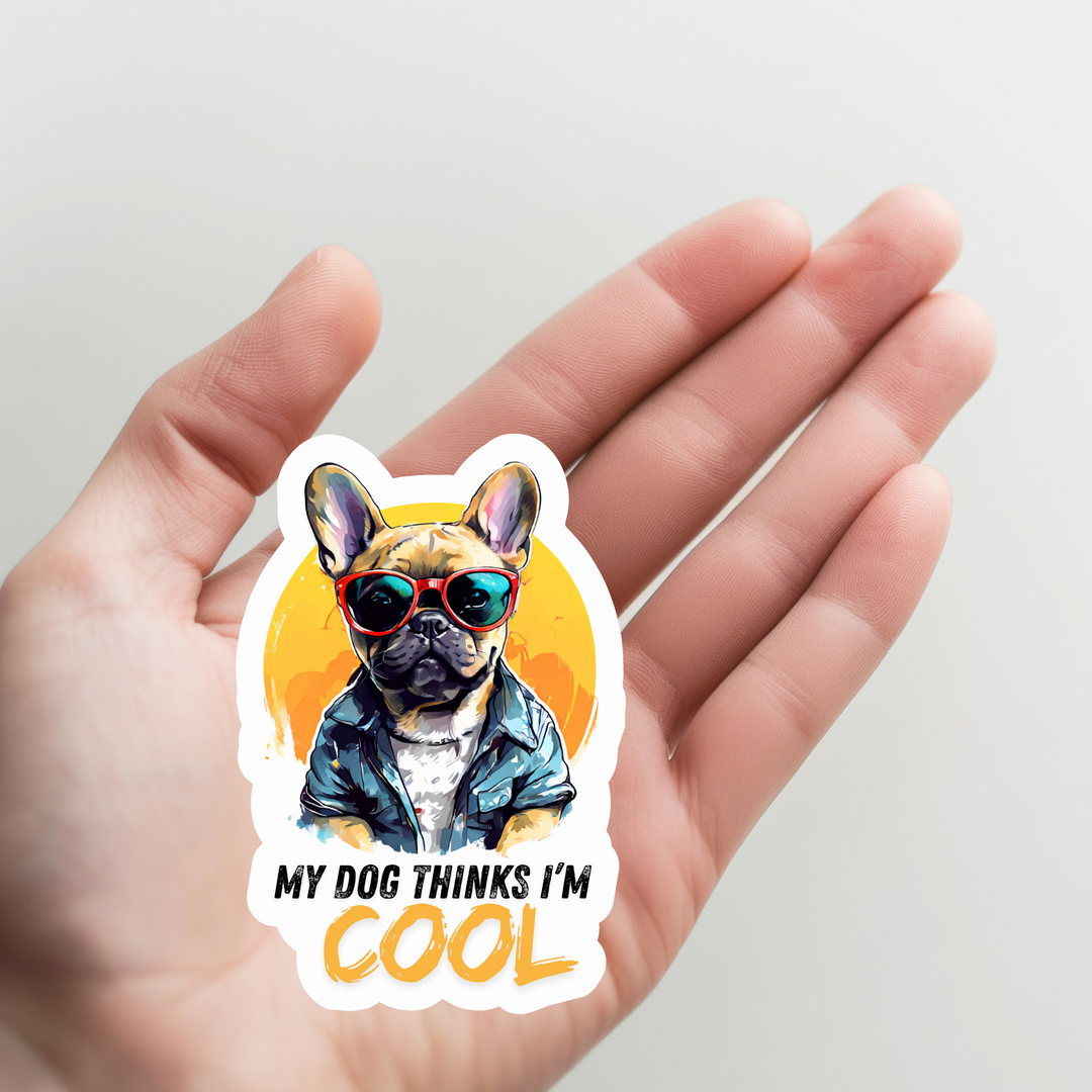 My Dog Thinks I&