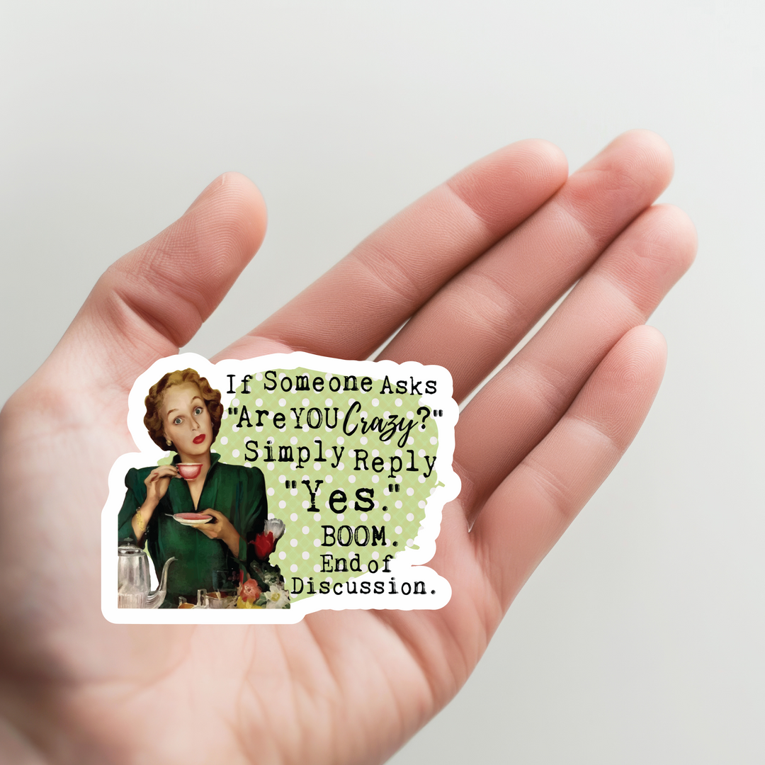 Someone Asked Are You Crazy Sticker