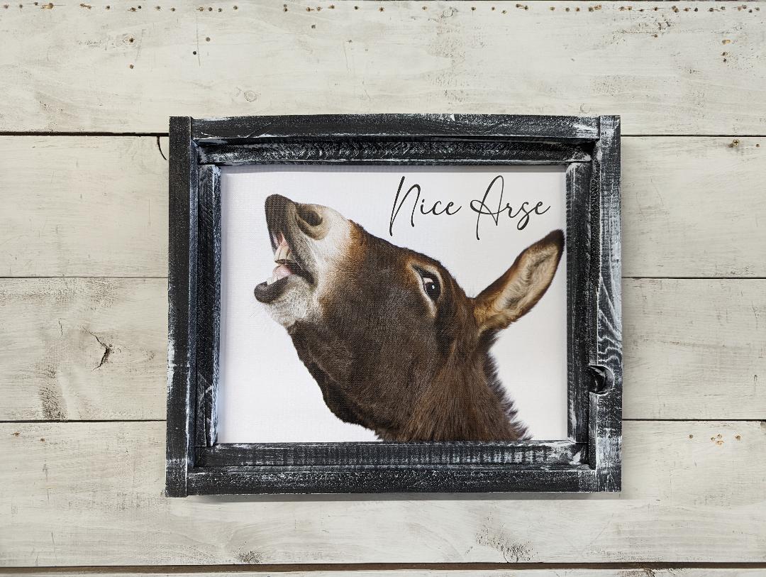 Donkey Nice Arse Canvas Print