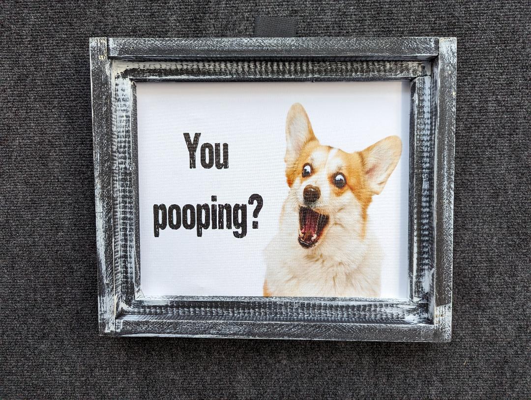 You Pooping Printed Canvas