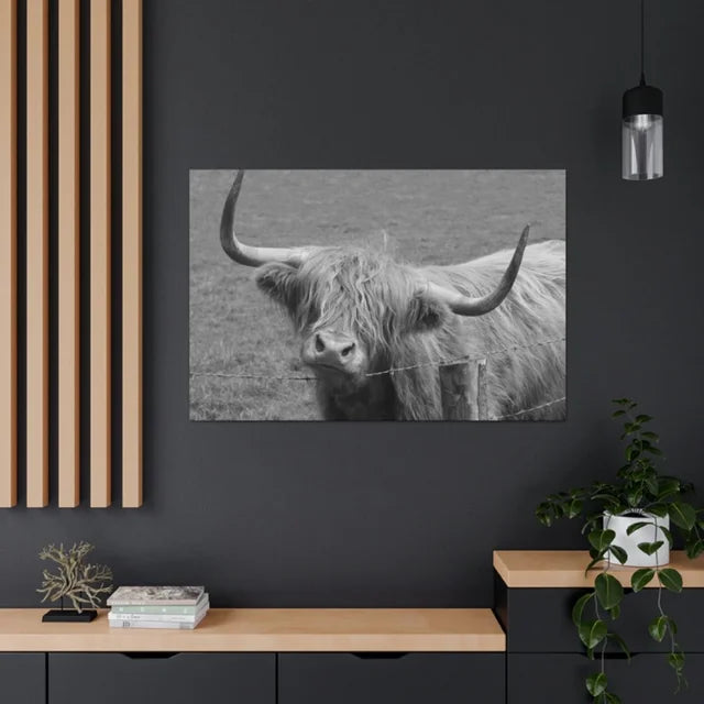Scottish Highland Barbwire Wrapped Canvas